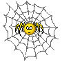 Araignetoilesurveil